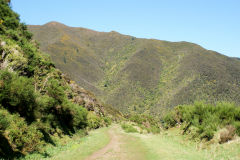 
Cross Creek to Prices Tunnel trackbed looking downhill, September 2009